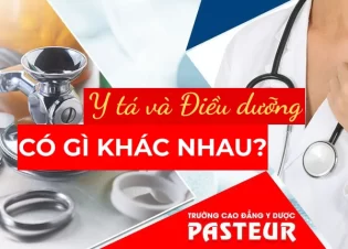 Y tá và Điều dưỡng có gì khác nhau? Sự khác biệt là gì?