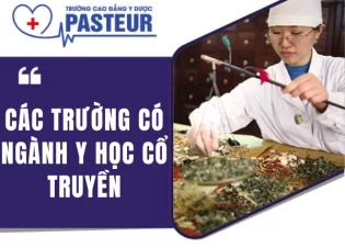 Các trường có ngành Y học cổ truyền đào tạo chất lượng tại Việt Nam