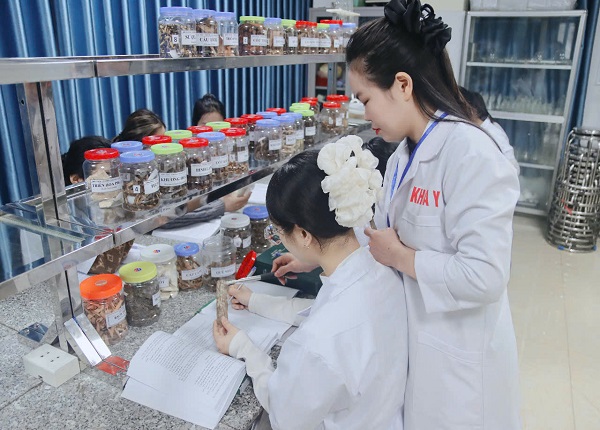 Học ngành Y học cổ truyền ở đâu phù hợp?