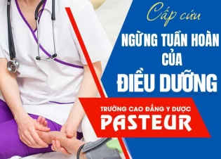 Cấp cứu ngừng tuần hoàn của Điều dưỡng: quy trình và kỹ năng thực hành
