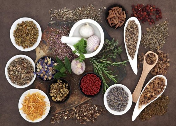 Câu hỏi trắc nghiệm Y học cổ truyền: Bộ 100 câu có đáp án chuẩn