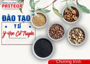 Chương trình đào tạo Y sĩ Y học cổ truyền là gì? Nội dung và mục tiêu học tập