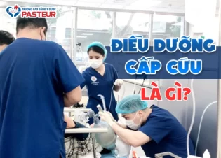 Điều dưỡng cấp cứu hồi sức: Vai trò, nhiệm vụ và yêu cầu công việc chi tiết