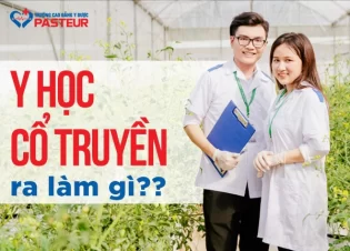 Học y học cổ truyền ra làm gì sau khi tốt nghiệp? Những hướng đi phù hợp