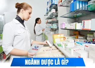 Ngành Dược là gì​? Cơ hội việc làm và triển vọng nghề nghiệp