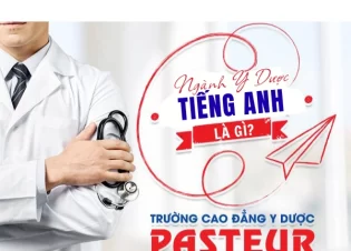 Ngành Y Dược tiếng Anh là gì? Mẫu câu giao tiếp ngành Y Dược