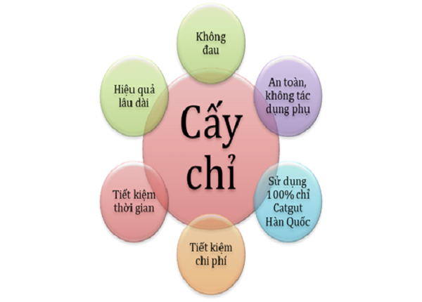 Phương pháp cấy chỉ trong y học cổ truyền: Khái niệm, quy trình và hiệu quả điều trị