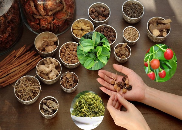 Học Y học cổ truyền ở đâu?