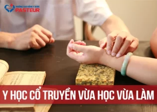Y học cổ truyền vừa học vừa làm: Giải pháp linh hoạt cho người bận rộn