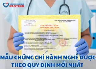 Mẫu chứng chỉ hành nghề Dược​ theo quy định mới nhất được cấp bởi ai?