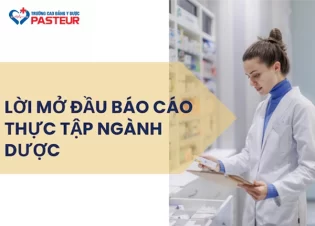 Lời mở đầu báo cáo thực tập ngành Dược: Hướng dẫn viết chuẩn