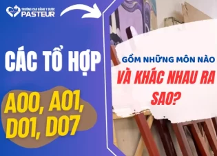Các tổ hợp A00, A01, D01, D07 gồm những môn nào và khác nhau ra sao?