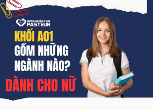 Khối A01 gồm những ngành nào dành cho nữ phù hợp xu hướng việc làm