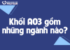 Khối A03 gồm những môn nào? Tìm hiểu chi tiết tổ hợp A03 mới nhất