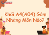 Khối A04 là gì? Tổ hợp môn, ngành học và cơ hội nghề nghiệp