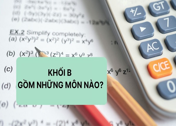 Khối B gồm những môn nào? Cơ hội ngành nghề và định hướng tương lai