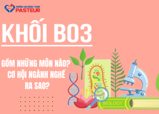 Khối B03 gồm những môn nào? Cơ hội ngành nghề ra sao?