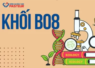 Khối B08 là gì? Gồm môn nào và phù hợp ngành nghề nào?