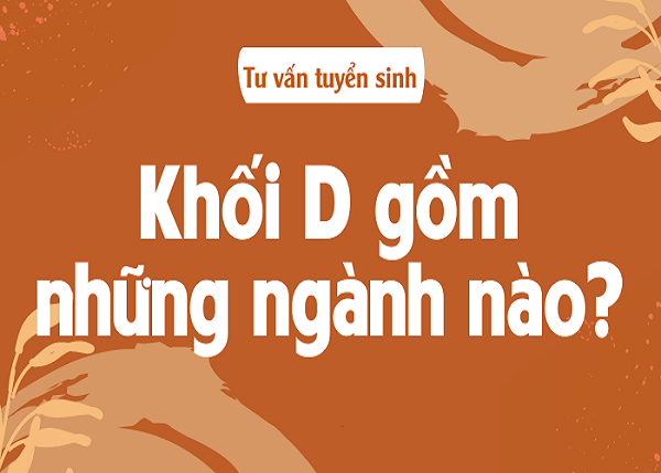 Có Nên Học Khối D Không? Ưu Điểm Và Cơ Hội Nghề Nghiệp Sau Khi Ra Trường