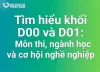 Tìm hiểu khối D00 và D01: Môn thi, ngành học và cơ hội nghề nghiệp