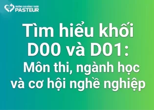 Tìm hiểu khối D00 và D01: Môn thi, ngành học và cơ hội nghề nghiệp