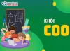 Khối C00 là gì? Tổ hợp xét tuyển và ngành học hot hiện nay