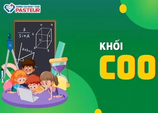 Khối C00 là gì? Tổ hợp xét tuyển và ngành học hot hiện nay