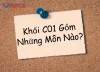 Khối C01 Gồm Những Môn Nào? Cơ Hội Ngành Nghề Ra Sao?