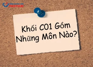Khối C01 Gồm Những Môn Nào? Cơ Hội Ngành Nghề Ra Sao?