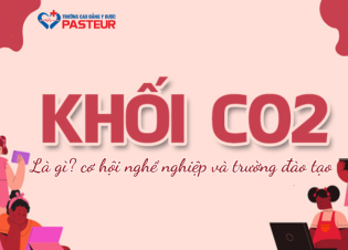 Khối C02 Là Gì? Cơ Hội Nghề Nghiệp Và Trường Đào Tạo