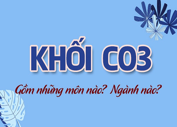 C03 gồm những ngành nào?