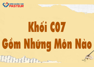 Khối C07 Gồm Môn Nào? Cách Chọn Ngành Phù Hợp Với Bản Thân