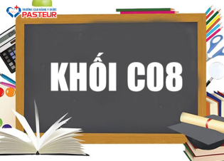 Khối C08 gồm những môn gì? Danh sách ngành học triển vọng hiện nay