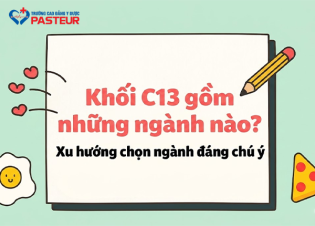 Khối C13 gồm những ngành nào? Xu hướng chọn ngành đáng chú ý