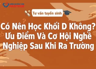 Có Nên Học Khối D Không? Ưu Điểm Và Cơ Hội Nghề Nghiệp Sau Khi Ra Trường