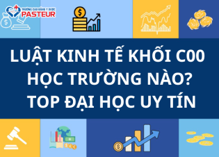Luật Kinh Tế Khối C00 Học Trường Nào? Top Đại Học Uy Tín