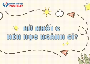 Nữ khối C nên học ngành gì để dễ xin việc sau khi ra trường?