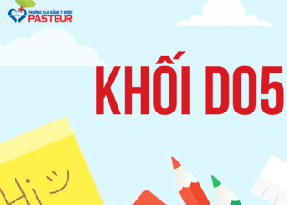 Khối D05: Cẩm Nang Chọn Ngành, Chọn Trường Dành Cho Thí Sinh