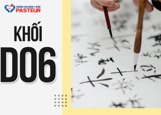 Học Khối D06 Ra Làm Gì? Những Ngành Nghề Triển Vọng Hiện Nay