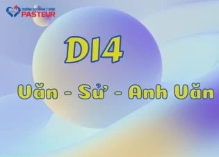 Nên Chọn Khối D14 Hay Không? Ưu Điểm Và Thách Thức Cần Biết