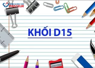 Khối D15 Là Gì? Tổ Hợp Môn Xét Tuyển Và Các Trường Đào Tạo