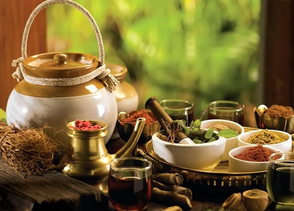 Chương trình Cao đẳng Y học cổ truyền học từ cơ bản đến chuyên ngành.