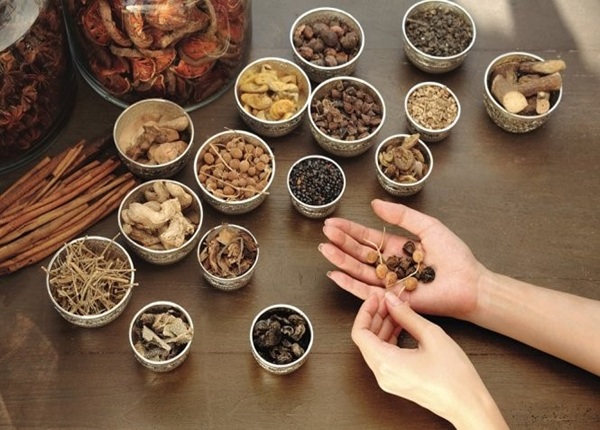 Cơ hội việc làm ngành Y học cổ truyền đa dạng