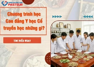 Chương trình học Cao đẳng Y học Cổ truyền học những gì?