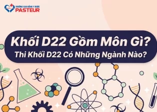 Khối D22 Gồm Môn Gì? Thi Khối D22 Có Những Ngành Nào?