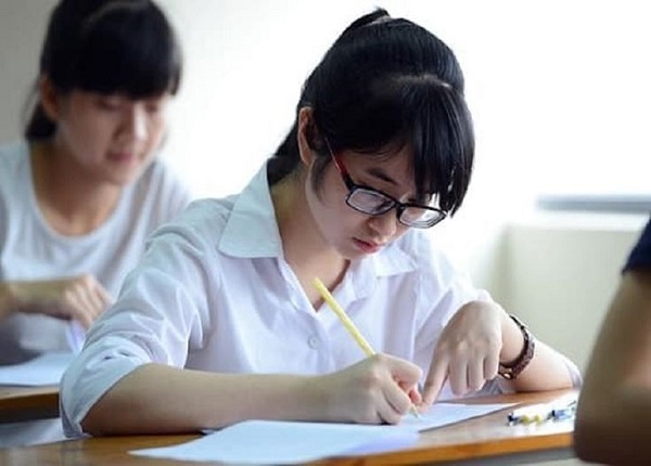 Thi D22 nên chọn ngành nào?