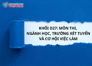 Khối D27: Môn Thi, Ngành Học, Trường Xét Tuyển Và Cơ Hội Việc Làm